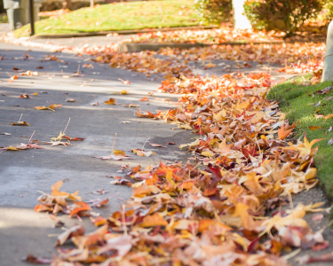 El mantenimiento redes saneamiento tras el otoño es fundamental para evitar atascos